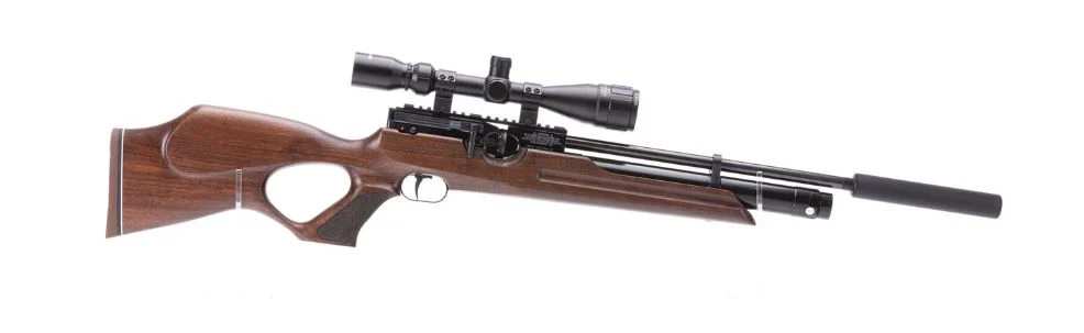 Weihrauch HW100 Full Length - Image 2