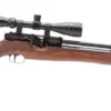 Weihrauch HW100 Full Length