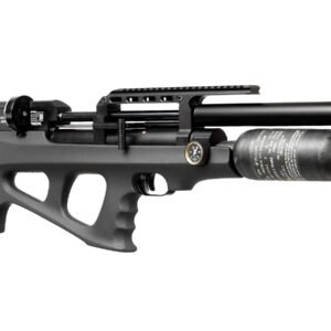 FX Wildcat MKIII BT Compact