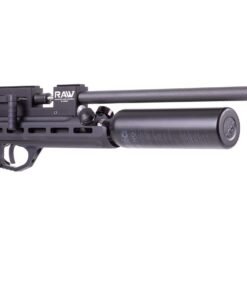 RAW TM1000 Chassis Pistol